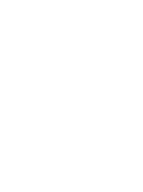 CSS